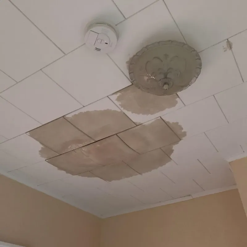 Ceiling Water Damage Repair in Avoca, PA