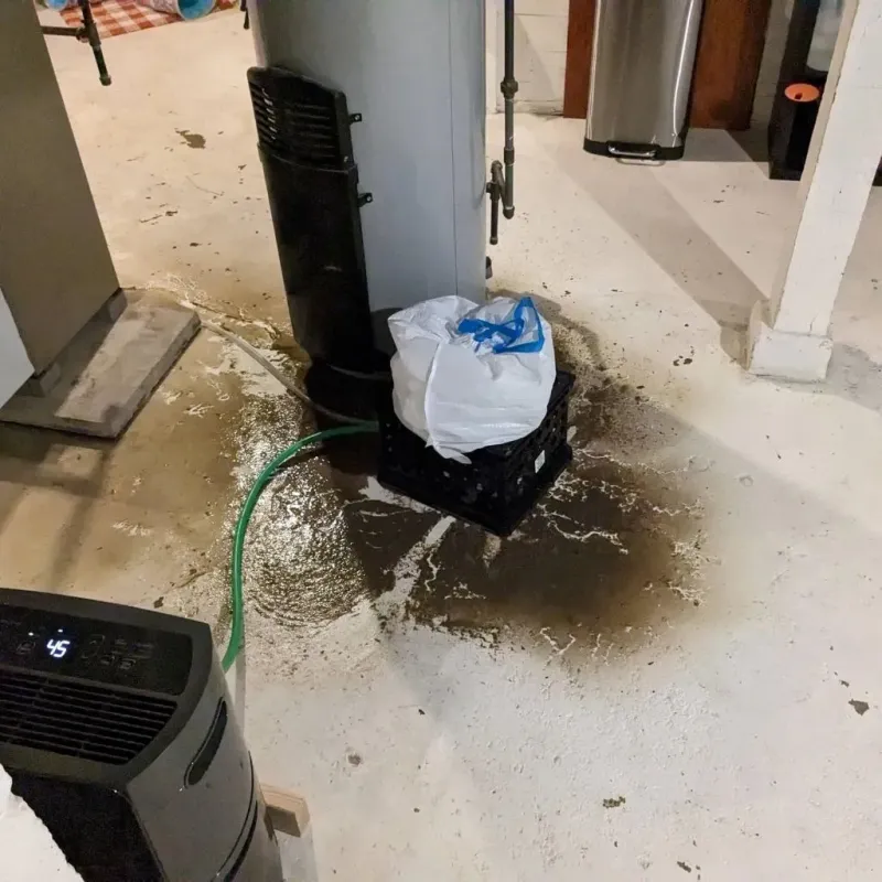 Sewage Backup Cleanup Service in Avoca, PA